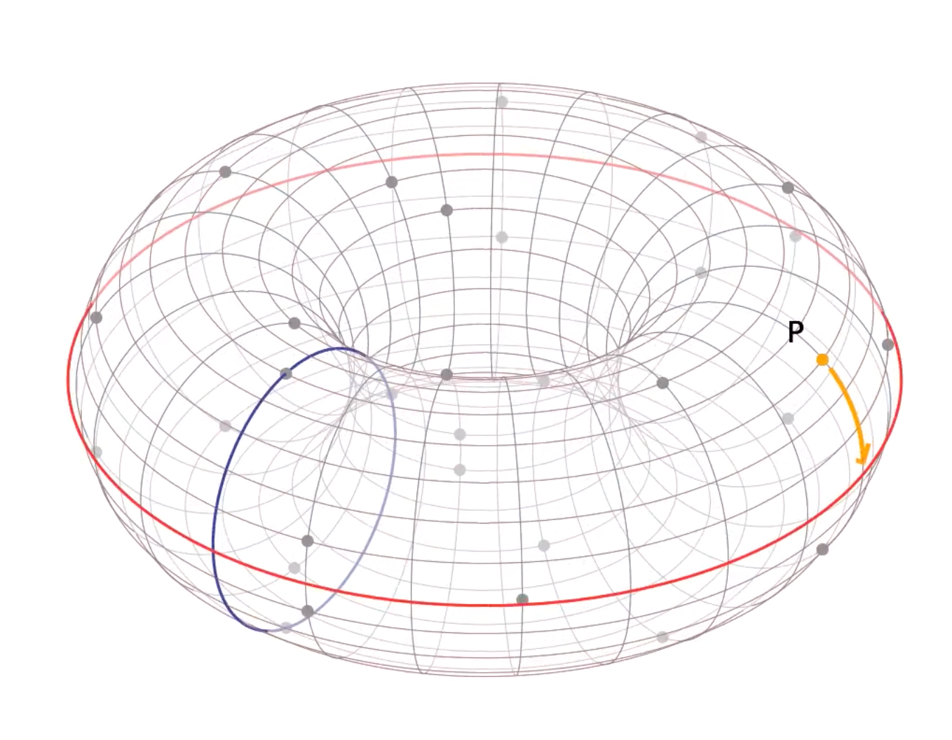 Elliptic Curve on finite field in 3D space a donut shape, from Trustica