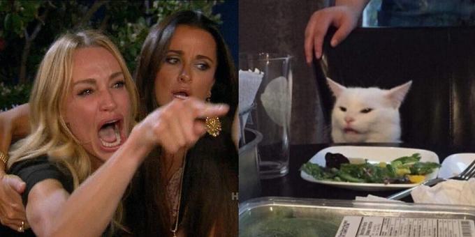 Cat at Dinner Table meme